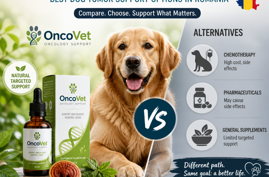 OncoVet vs Alternatives: 7 Best Dog Tumor Support Options in Romania
