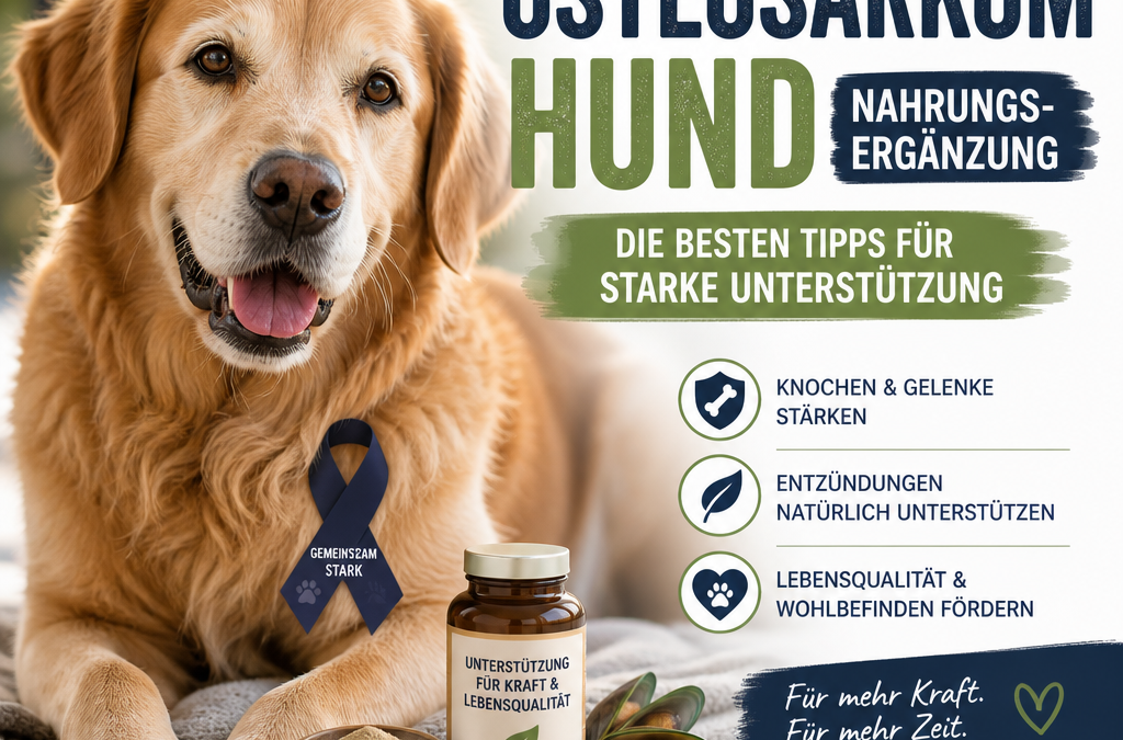 Osteosarkom Hund Nahrungsergänzung: 7 starke, positive Tipps für bessere Unterstützung