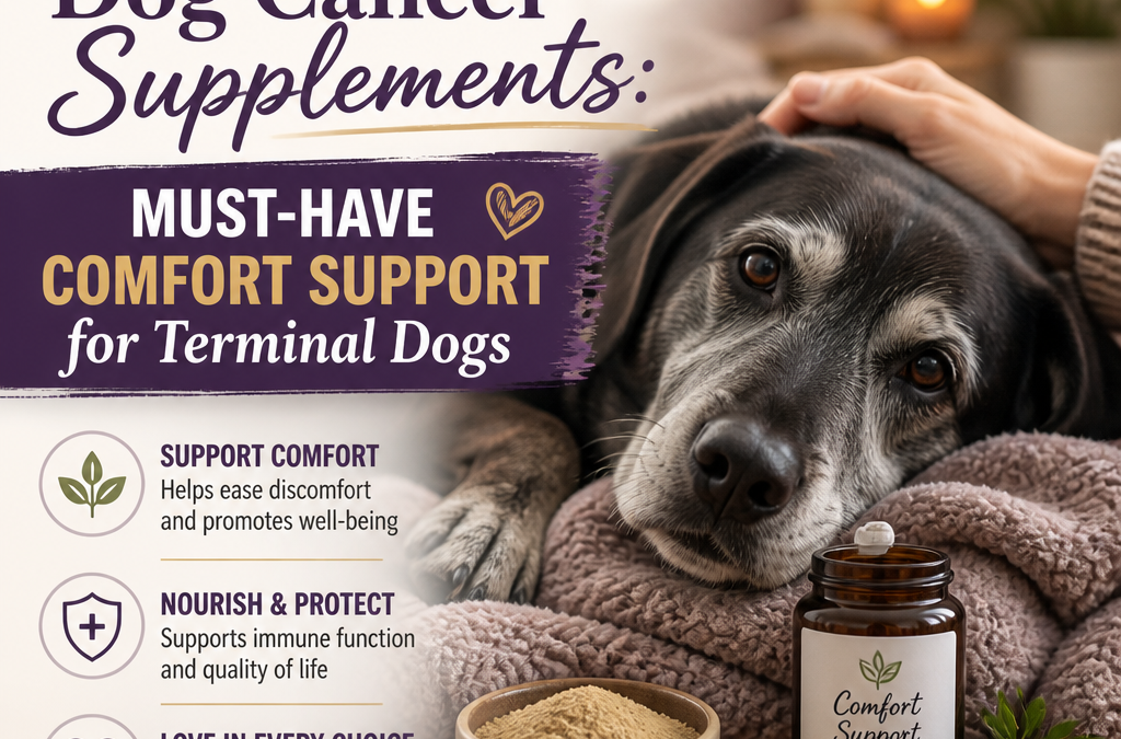 Palliative Care Dog Cancer Supplements: 7 Powerful Comfort Support Tips