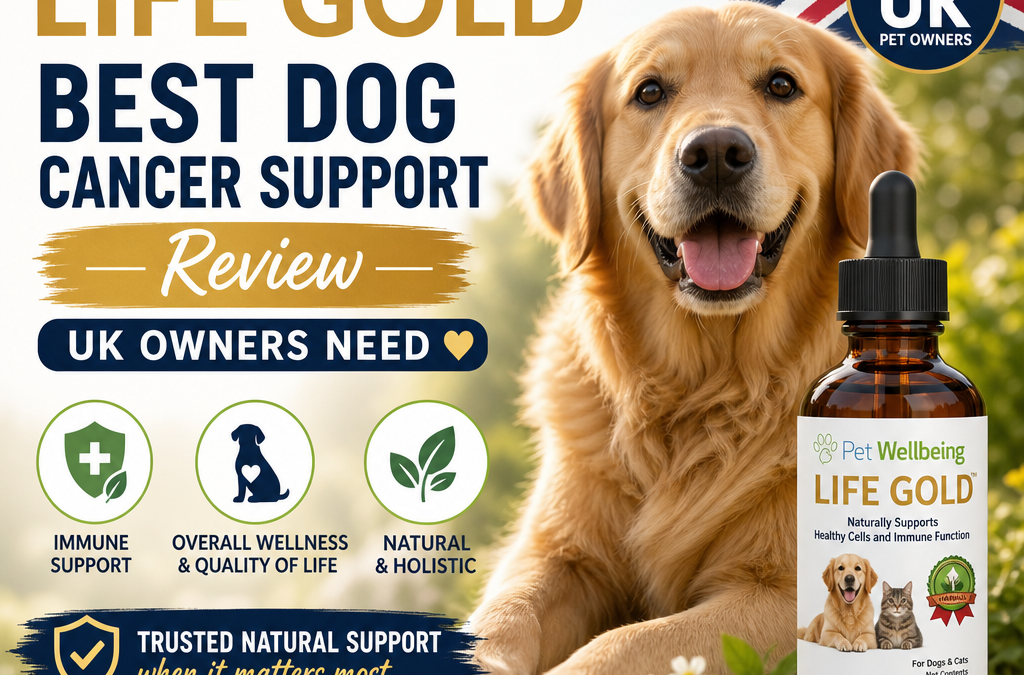 Pet Wellbeing Life Gold: 7 Best Dog Cancer Support Tips for UK Owners