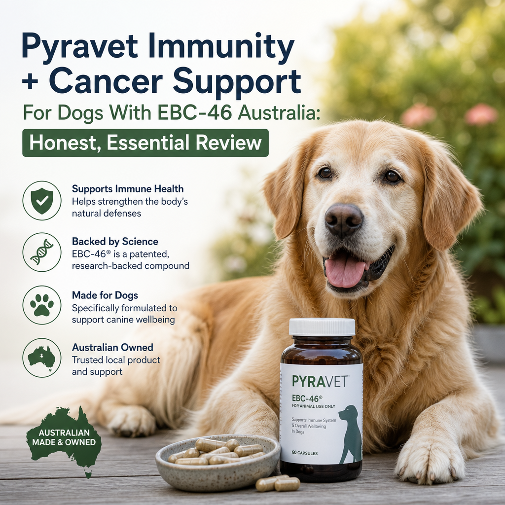 Pyravet Immunity + Cancer Support For Dogs With EBC-46: 7 Positive Essential Australia Review 4 Pyravet Immunity + Cancer Support For Dogs With EBC-46 illustration