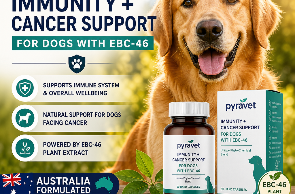 Pyravet Immunity + Cancer Support For Dogs With EBC-46: 7 Positive Essential Australia Review