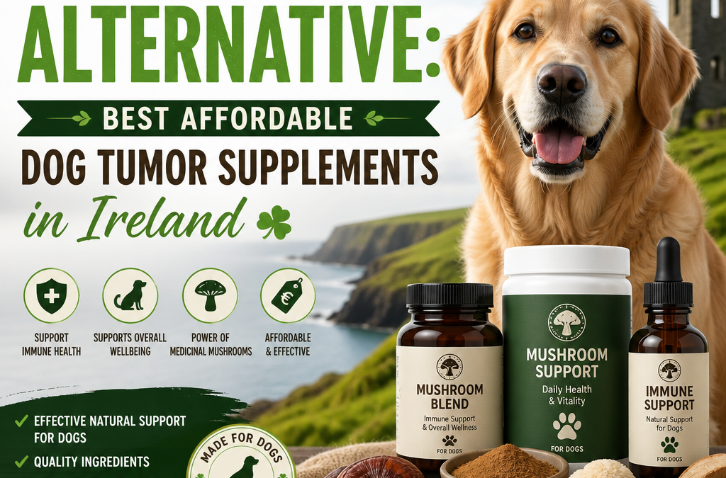 Seven Shrooms alternative: 7 Best Affordable Dog Tumor Supplements in Ireland