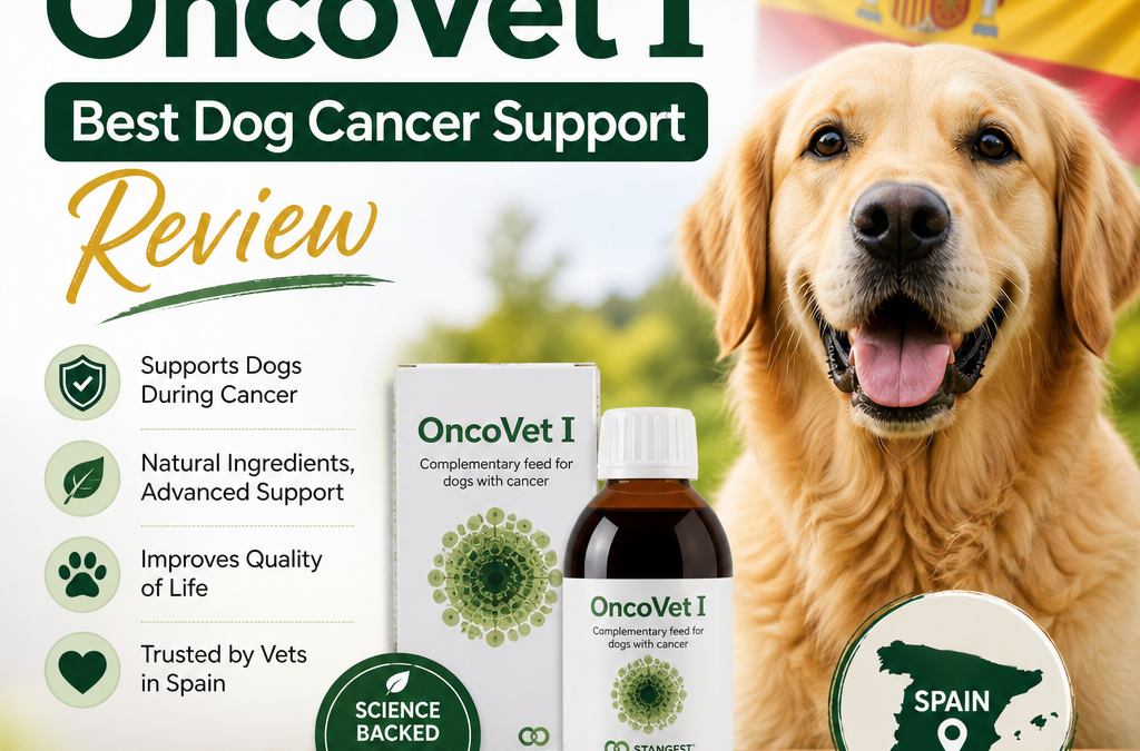 Stangest OncoVet I: 7 Best Dog Cancer Support Review for Spain