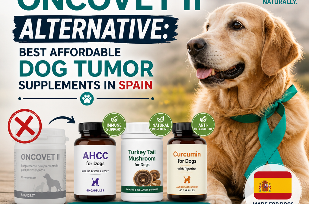 Alternativa Stangest OncoVet II: 5 Melhores Suplementos Acessíveis para Tumores em Cães na Espanha