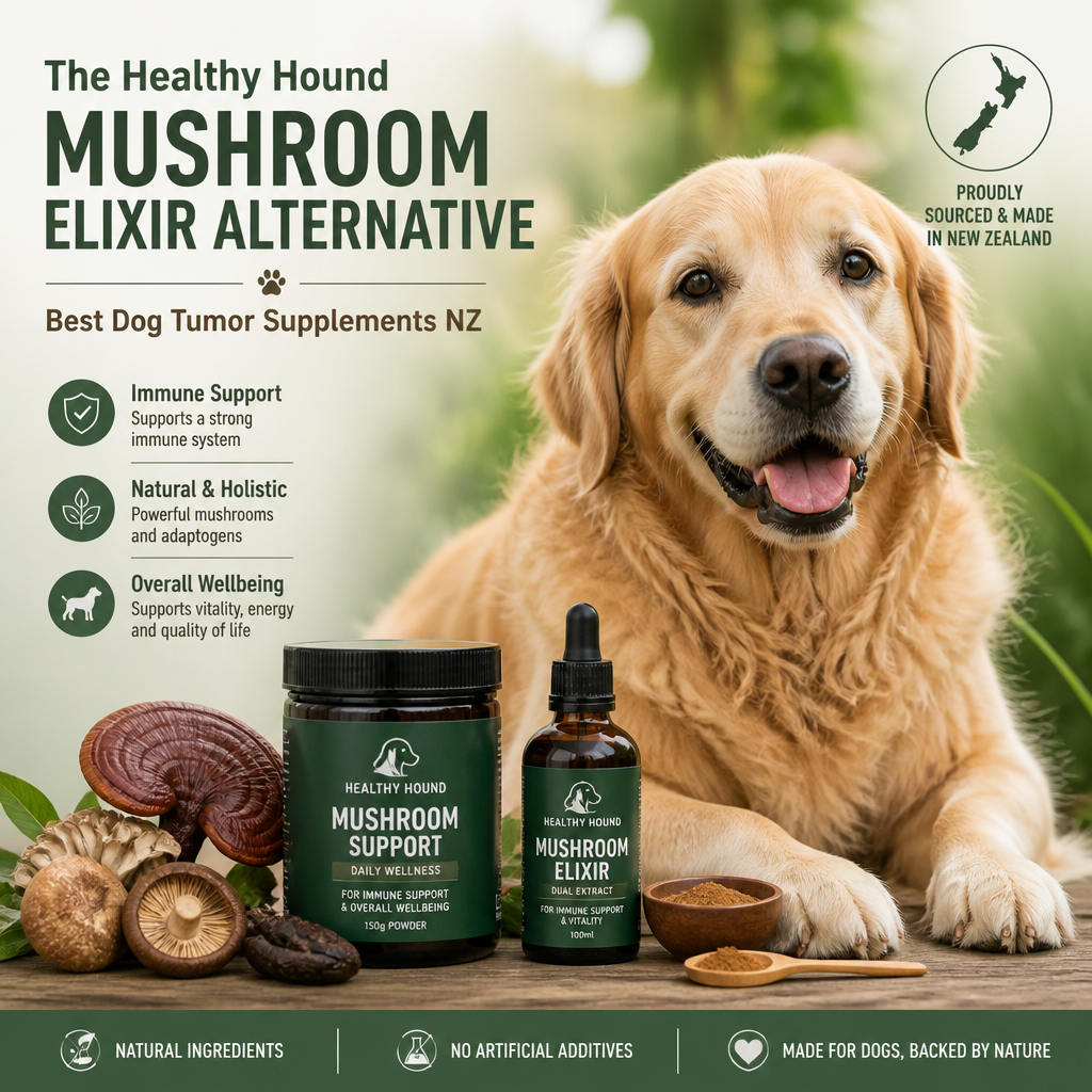 The Healthy Hound Mushroom Elixir Alternative: 7 Best Dog Tumor Supplements NZ 1 The Healthy Hound Mushroom Elixir alternative illustration