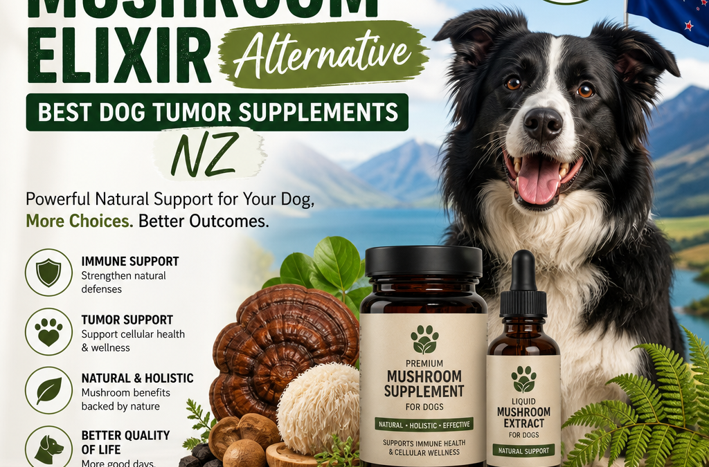 The Healthy Hound Mushroom Elixir Alternative: 7 Best Dog Tumor Supplements NZ