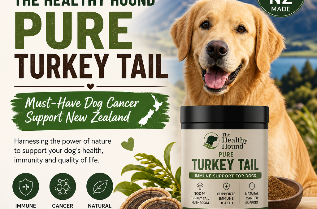 The Healthy Hound Pure Turkey Tail: 7 Must-Know Dog Cancer Support Tips for New Zealand