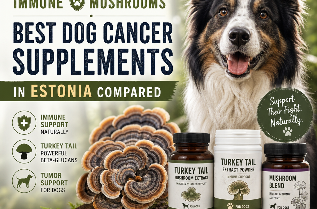 Turkey Tail / immune / mushrooms: 7 Best Dog Cancer Supplements in Estonia Compared